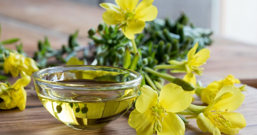 Aceite de onagra: Beneficios y propiedades sorprendentes