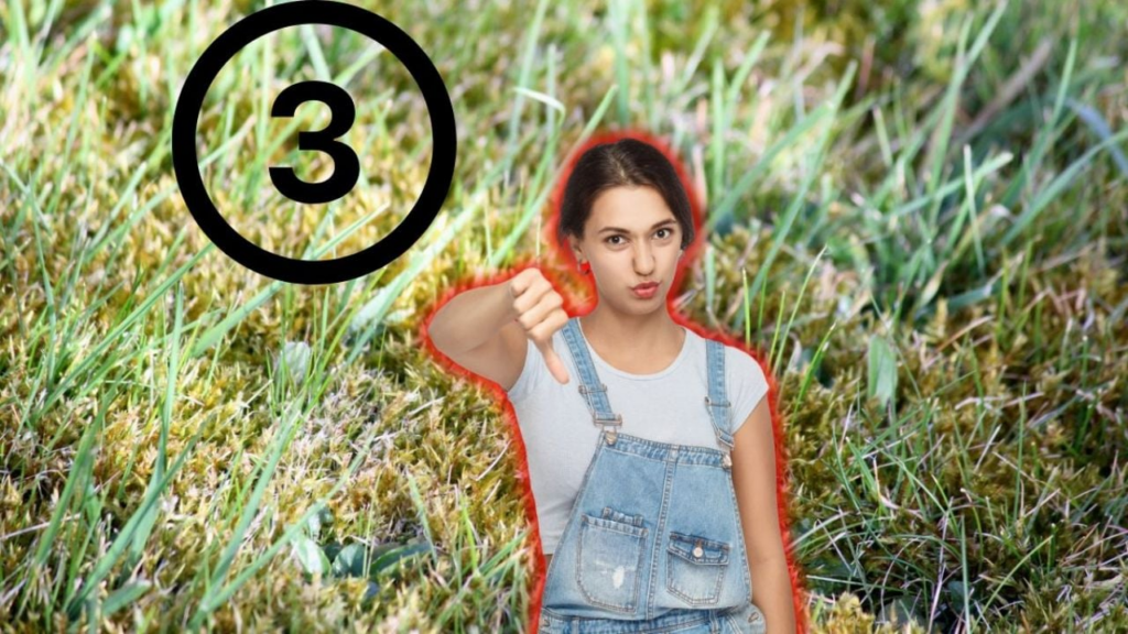 Consejos de jardinería para principiantes: Tips fáciles