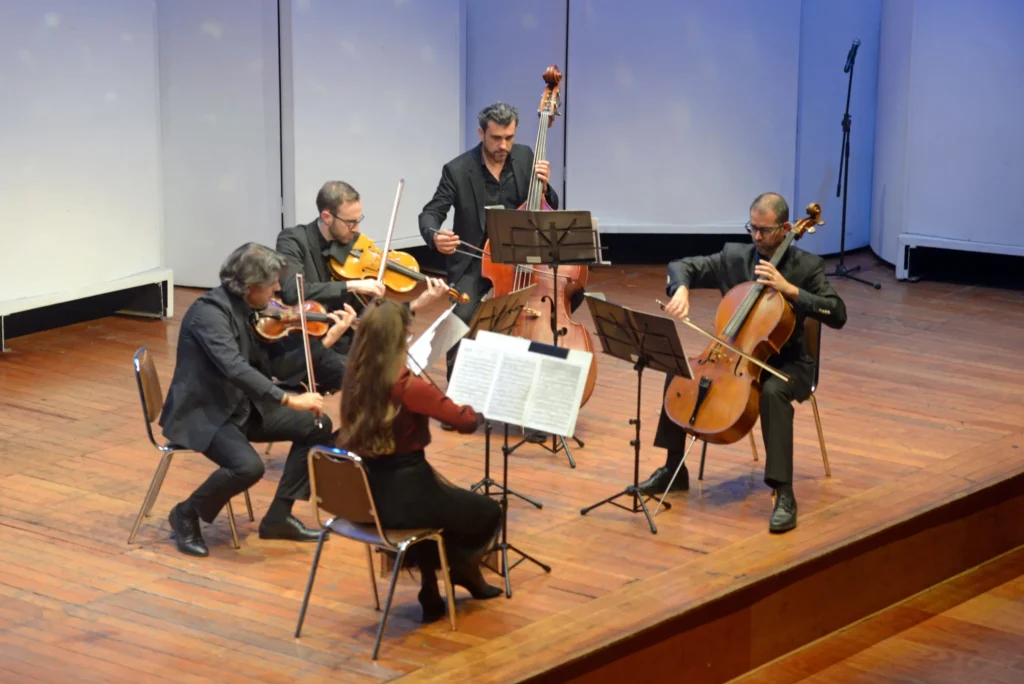 Ensamble de cuerdas vienés: un concierto inolvidable