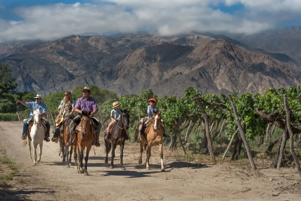 Salta Turismo: Descubre Los Encantadores Destinos Argentinos
