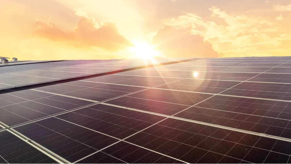Proyecto Fotovoltaico Zaldívar: Avances y Oportunidades