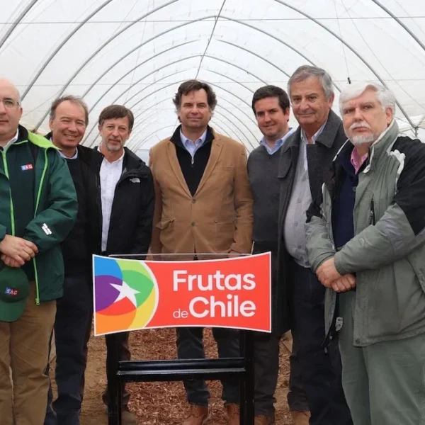 Día del Arándano 2025: Calidad y Crecimiento en la Industria