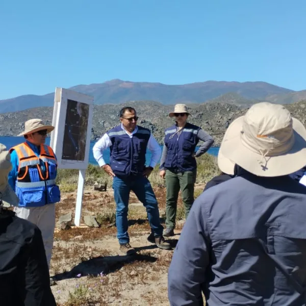 Proyecto Dominga: Avances y Desafíos en la Minería