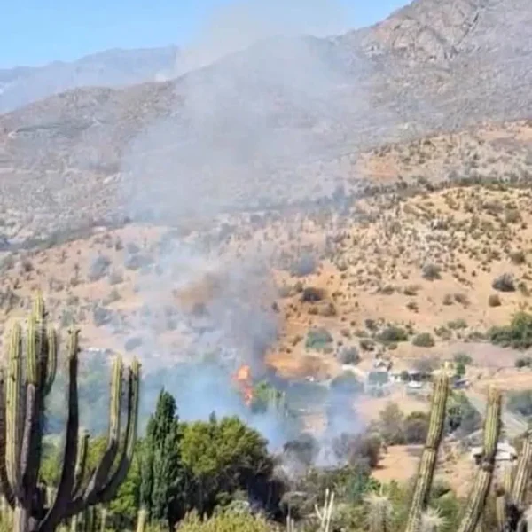 Incendio Forestal Combarbalá: Alerta Roja en la Región