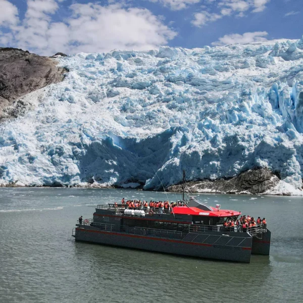 Gastronomía Austral: Una Cena Única en Magallanes