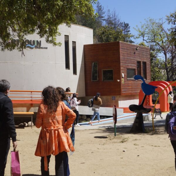 Actividades de Verano Museo Artequin para toda la familia