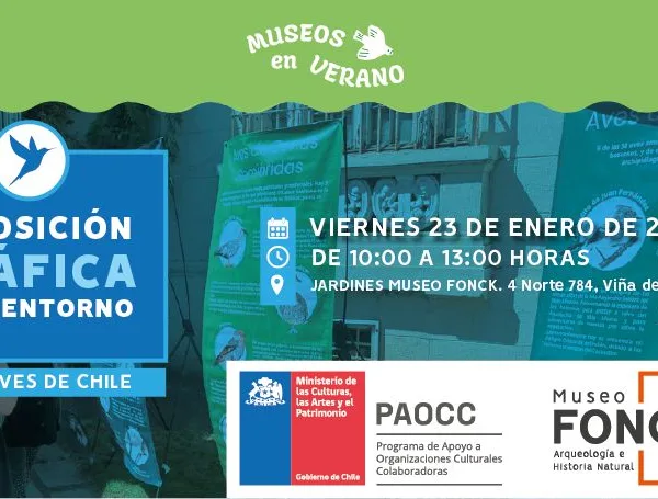Exposición Aves Chile: Un Viaje Visual a la Biodiversidad Familiar