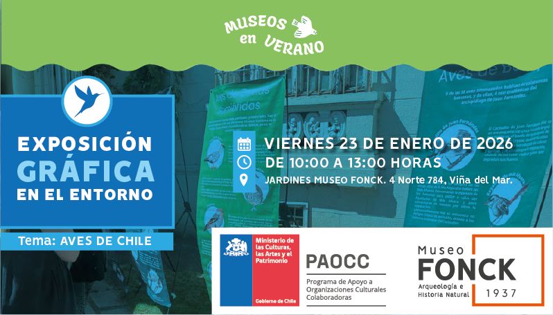 Exposición Aves Chile: Un Viaje Visual a la Biodiversidad Familiar