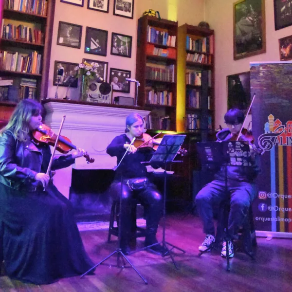 Concierto de Cámara Valparaíso: Música en Vivo Este Enero