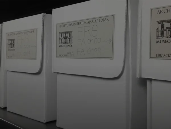 Gestión Patrimonial 2025: Claves para entender el Museo Fonck