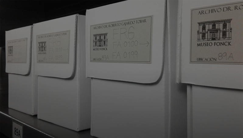 Gestión Patrimonial 2025: Claves para entender el Museo Fonck