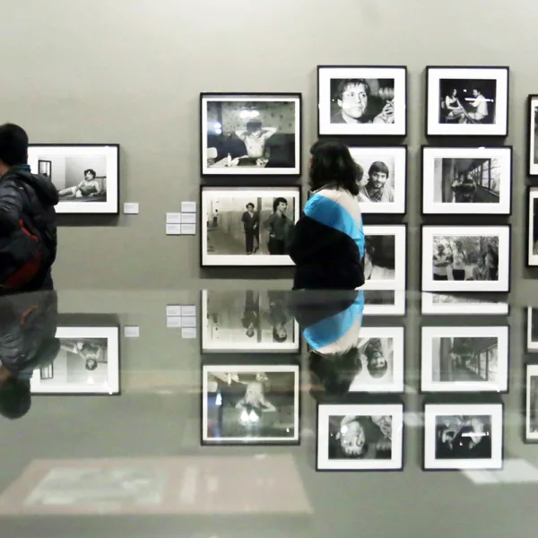 Ley de Fomento a las Artes de la Visualidad: Un Proyecto Transformador