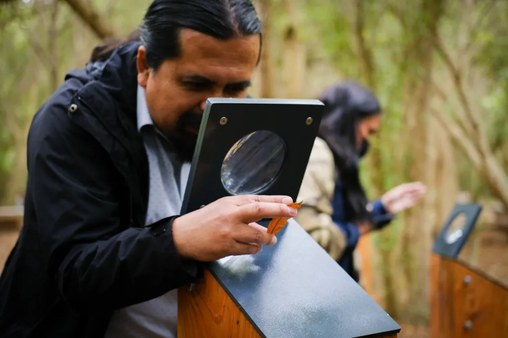 Parque Humedal Río Maipo: Descubre la Naturaleza y Aves