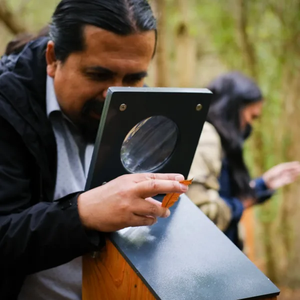 Parque Humedal Río Maipo: Descubre la Naturaleza y Aves