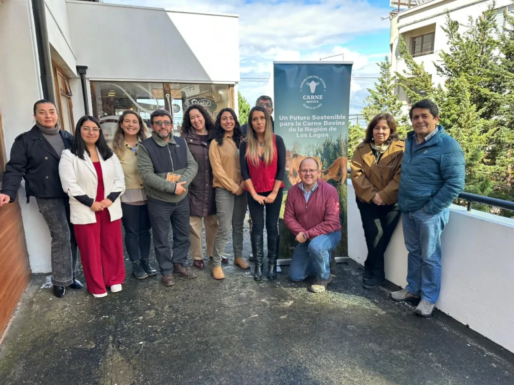 Carne Bovina Los Lagos: Innovaciones y Avances en Gobernanza