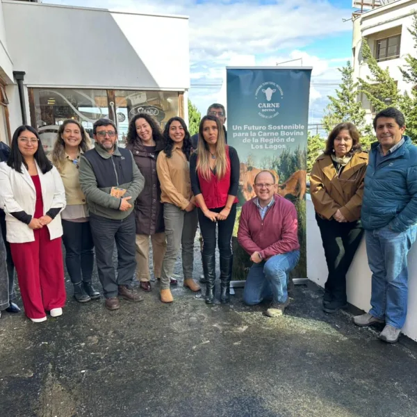 Carne Bovina Los Lagos: Innovaciones y Avances en Gobernanza