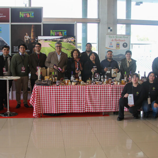 Enoturismo en Ñuble: Proyectos que Transforman el Valle del Itata