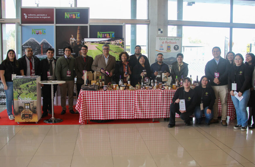 Enoturismo en Ñuble: Proyectos que Transforman el Valle del Itata