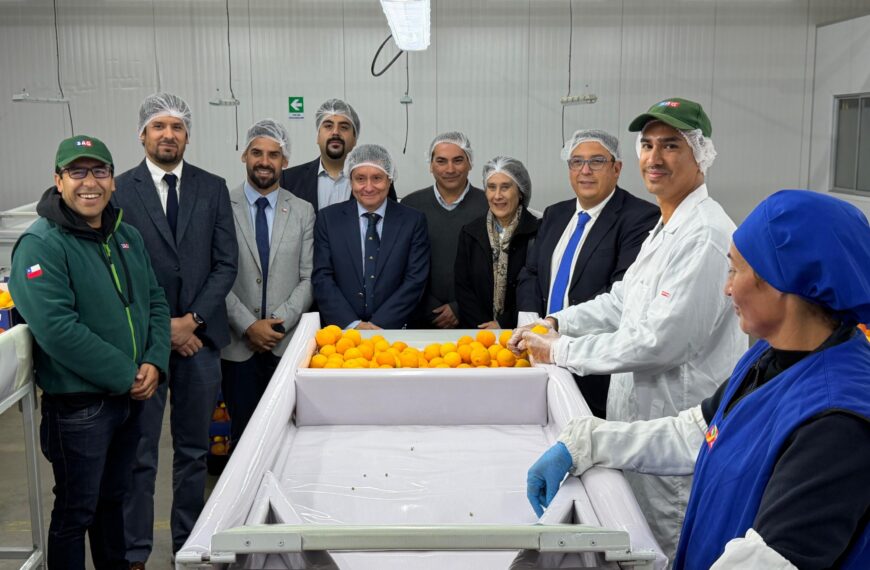 Exportación de cítricos: Inicio de temporada y desafíos en Coquimbo