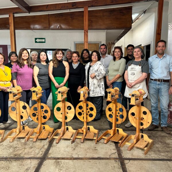 Tradiciones textiles: El impacto del programa Wanaku en La Ligua