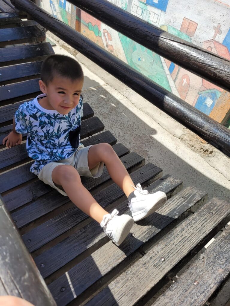 Jornada solidaria: artistas chilenos apoyan a niño con autismo