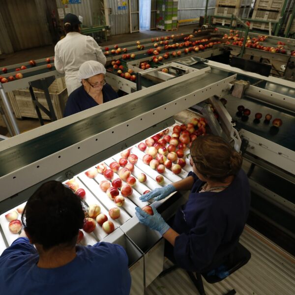 Certificación Electrónica en Chile: El Futuro del Comercio Mundial Revelado