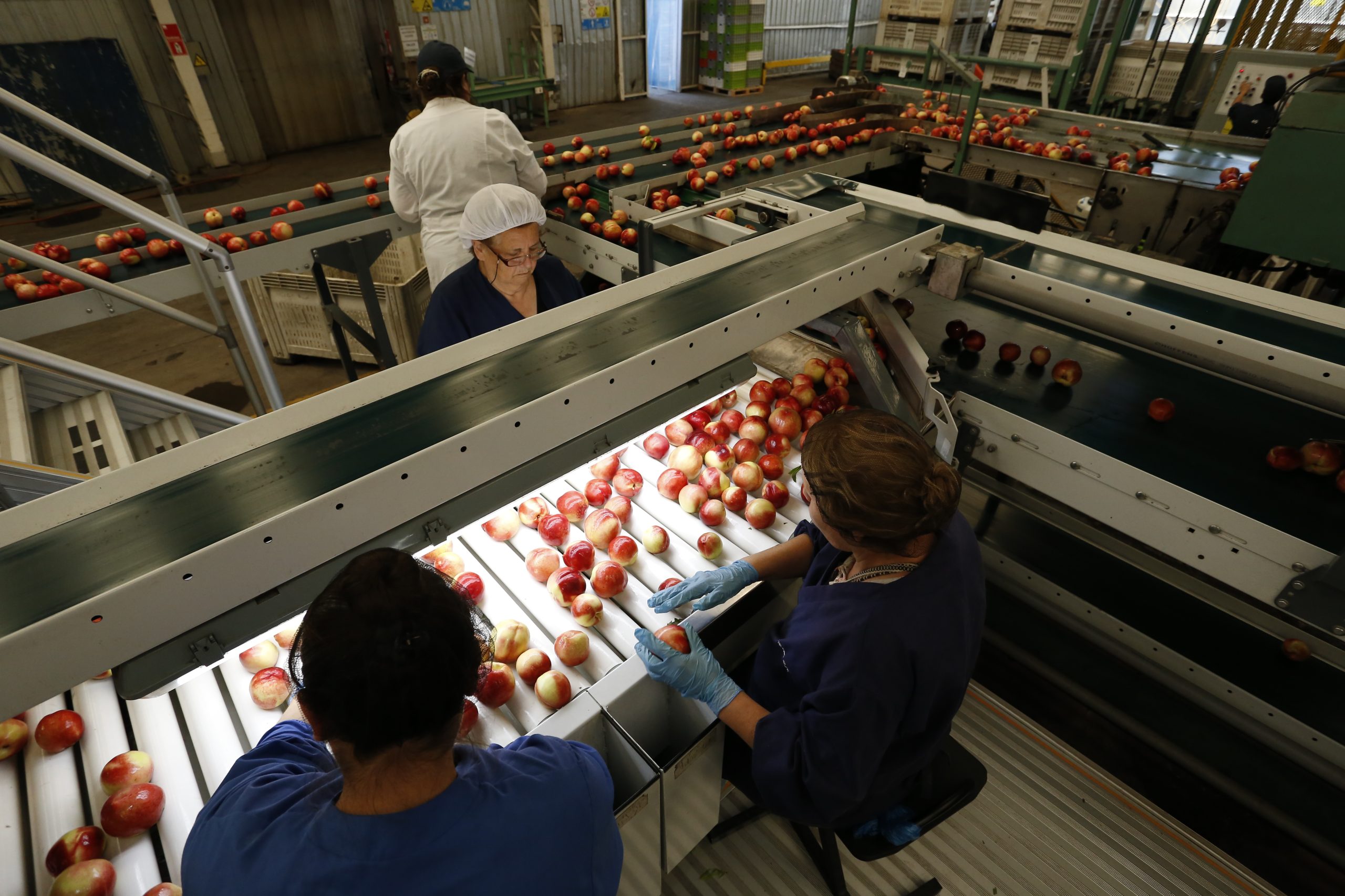 Certificación Electrónica en Chile: El Futuro del Comercio Mundial Revelado