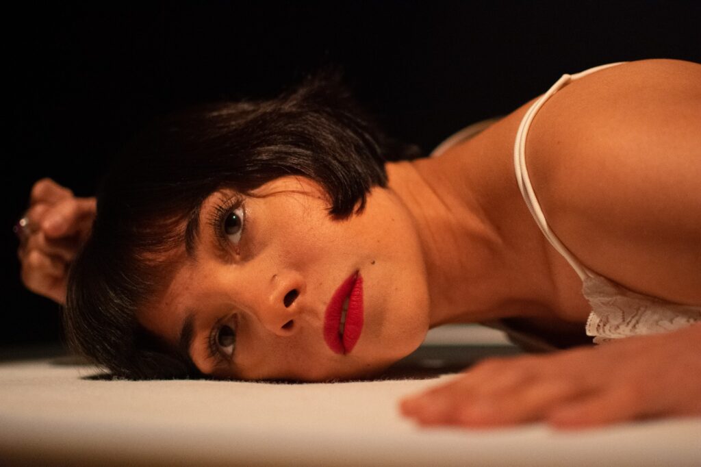 obra de teatro Niebla: Un homenaje emocionante a María Luisa Bombal