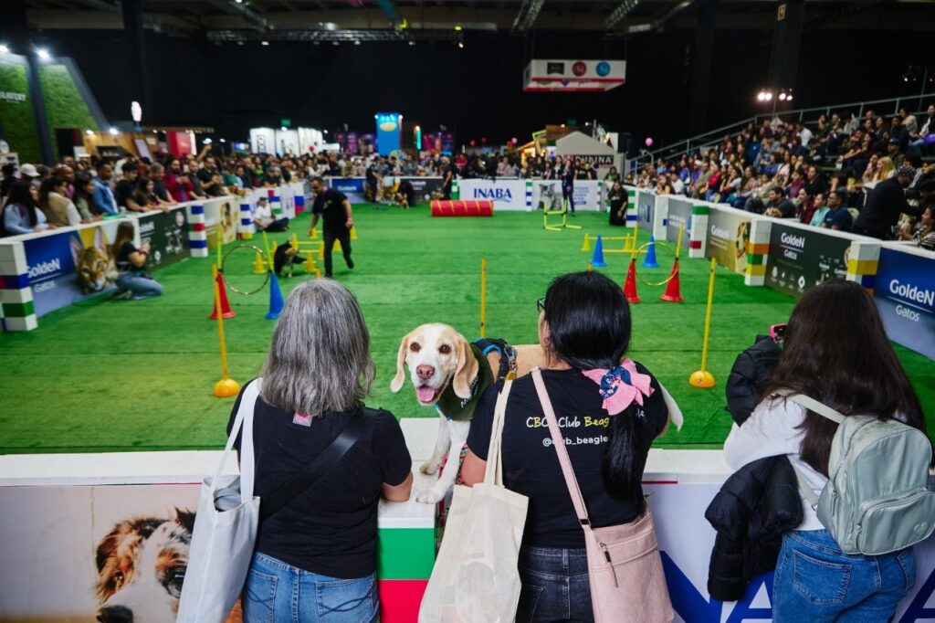 Mercado de comida para mascotas en Chile: ¡Crecimiento Sorprendente para 2025!