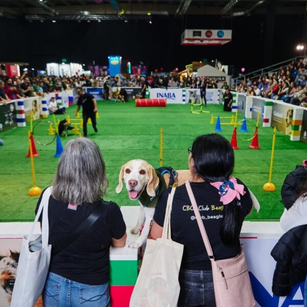 Mercado de comida para mascotas en Chile: ¡Crecimiento Sorprendente para 2025!