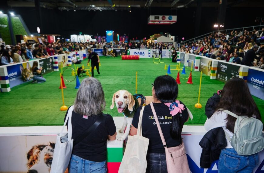 Mercado de comida para mascotas en Chile: ¡Crecimiento Sorprendente para 2025!