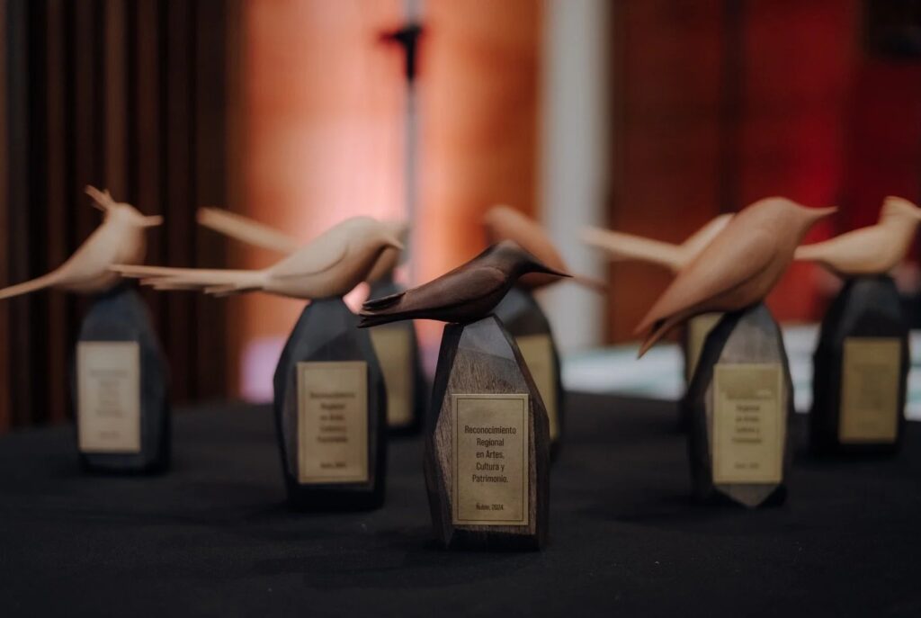 Premios Regionales de Arte Ñuble: Todo lo que Necesitas Saber