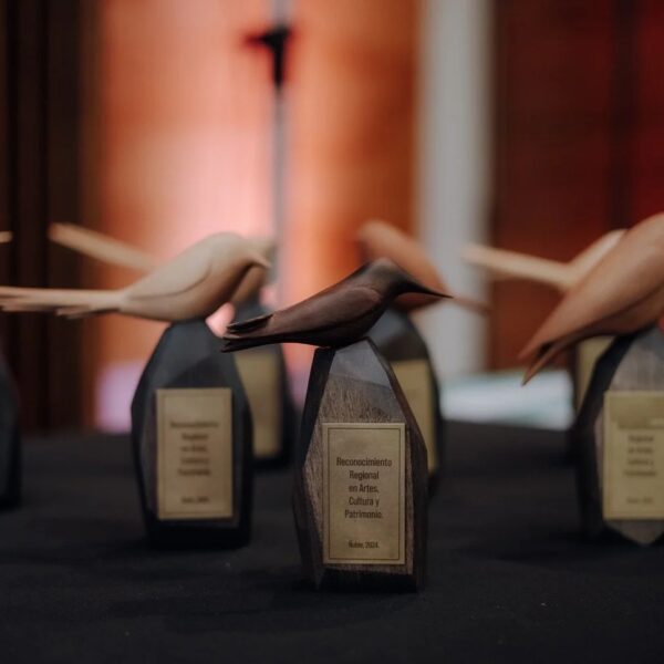 Premios Regionales de Arte Ñuble: Todo lo que Necesitas Saber