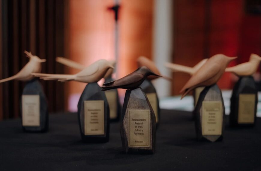 Premios Regionales de Arte Ñuble: Todo lo que Necesitas Saber