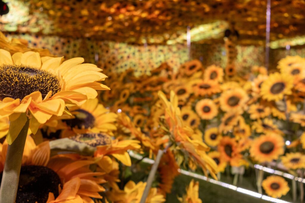 Van Gogh en Vivo: Descubre la Experiencia que Está Cautivando a Todos