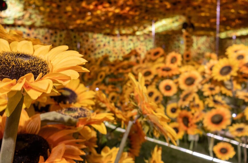 Van Gogh en Vivo: Descubre la Experiencia que Está Cautivando a Todos