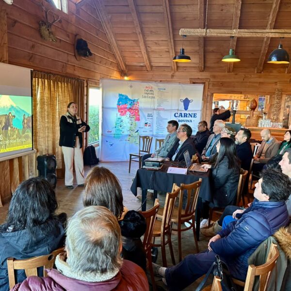 Carne Bovina: El Legado de un Programa que Transformó la Región