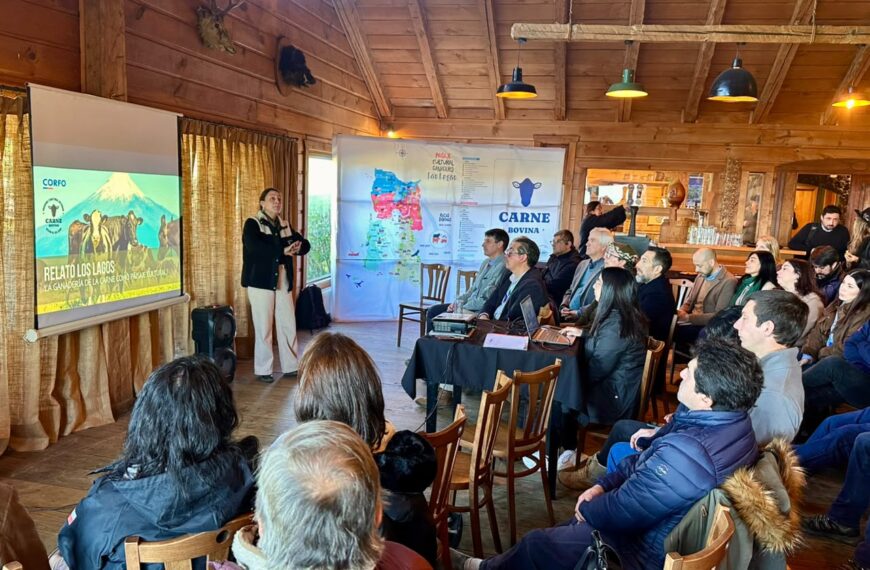 Carne Bovina: El Legado de un Programa que Transformó la Región