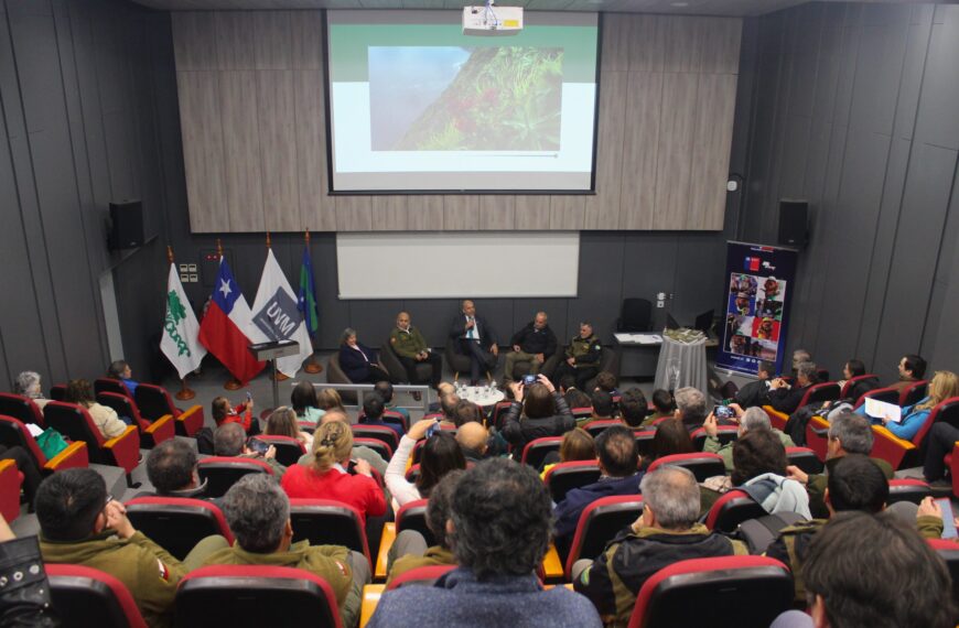 Conservación del Archipiélago Juan Fernández: Un Legado Ecológico Revelador