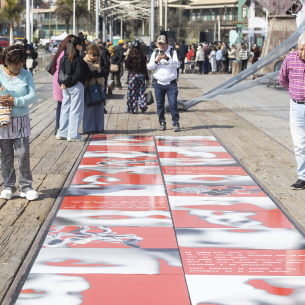 Bienal de Arte Contemporáneo SACO: Convocatoria y Oportunidades