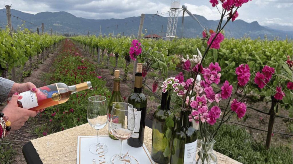 El Secreto de las Flores: Un Viaje Inolvidable en Viña Ravanal