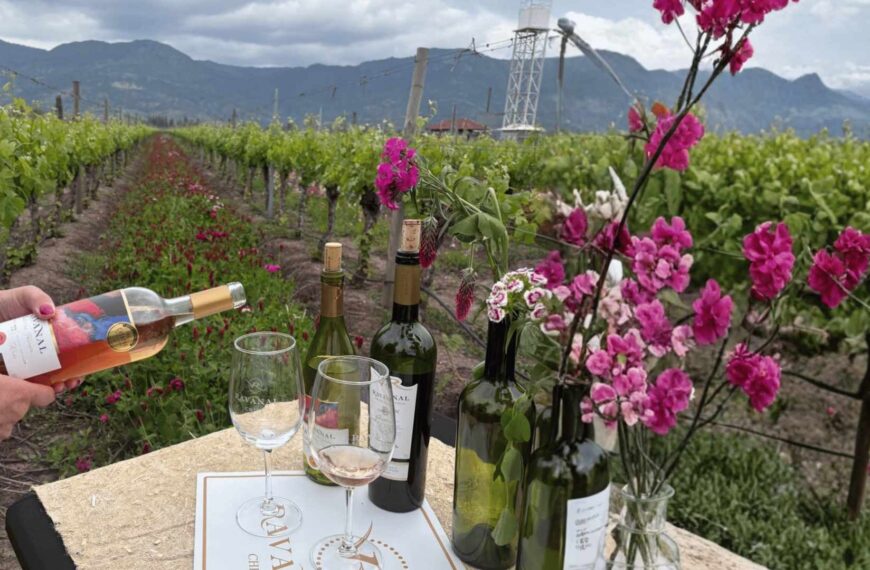 El Secreto de las Flores: Un Viaje Inolvidable en Viña Ravanal